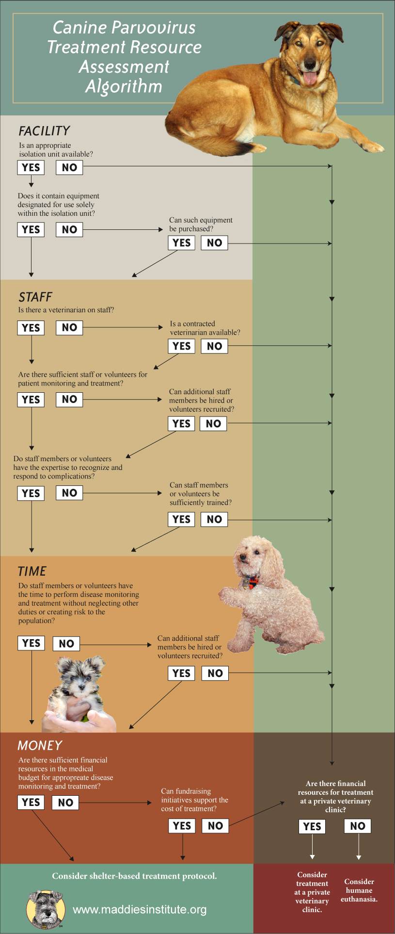 Canine Parvovirus Treatment Resource Assessment Algorithm